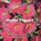 Bullet Project