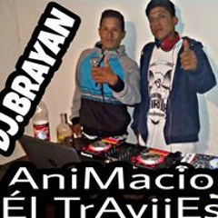 Willianshitop Criollo