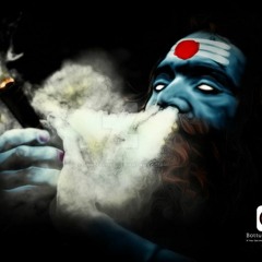 Big fat cat Ugly bat