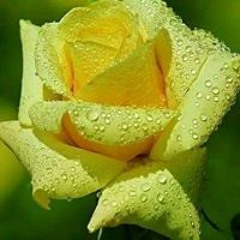 user882098162
