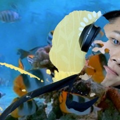 duckhyun won