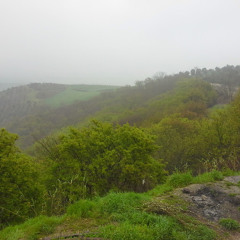 arzuw