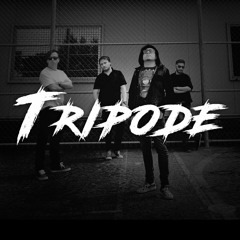 TripodeBand