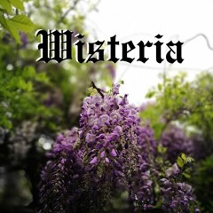 Wisteria
