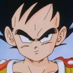 Kidd VEGETA