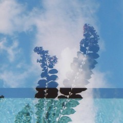 SOAP CPLE