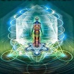 Flor De Loto Flor de Loto