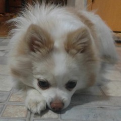 Brian