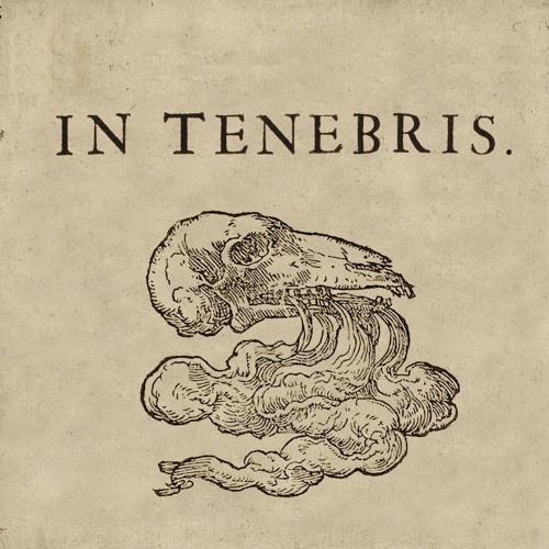 In Tenebris’s avatar