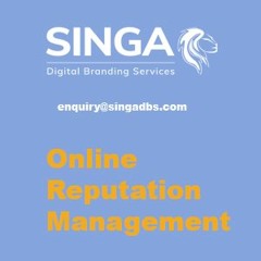 onlinereputationmanagement