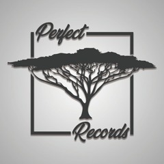 Perfect Tree Records