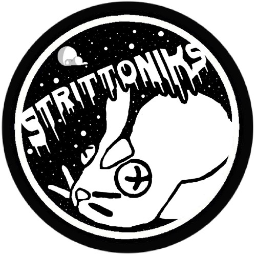 StrittoniKs’s avatar