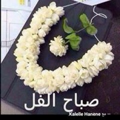 جوجو جيجي