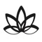 White Lotus