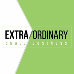 Extra/Ordinary Small Business
