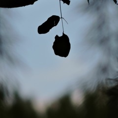 user7799(DJ)Daisuke Inoue