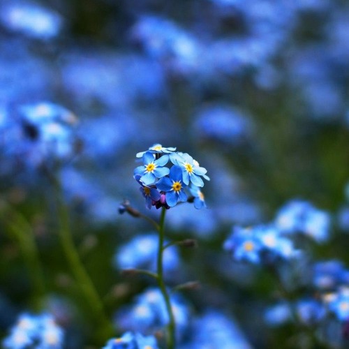 Above and Beyond feat Alex Vargas - The Sun and The Moon (Lyrics).mp3