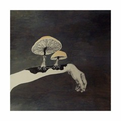 Kieran Newton (oFFICial)