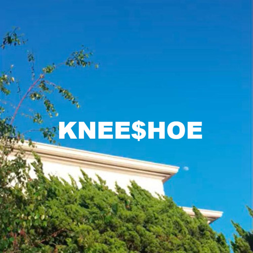 KneeShoe’s avatar