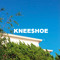 KneeShoe