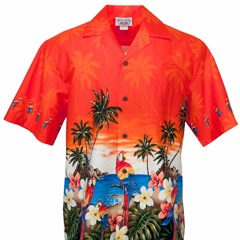 Hawaiian Shirts