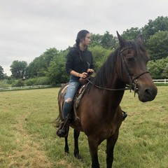 Lucyintheskywithdiamondss