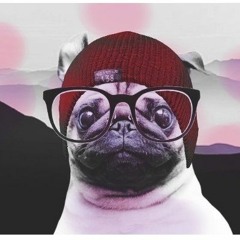 Hipster Pug