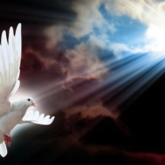 Prince Of Heaven Hillsong Worship