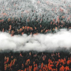 brume