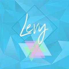 Levy Riz