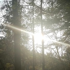 Somewhere In the Ether