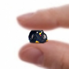 Guest_account