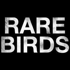 Rare Birds - Atlanta, Georgia