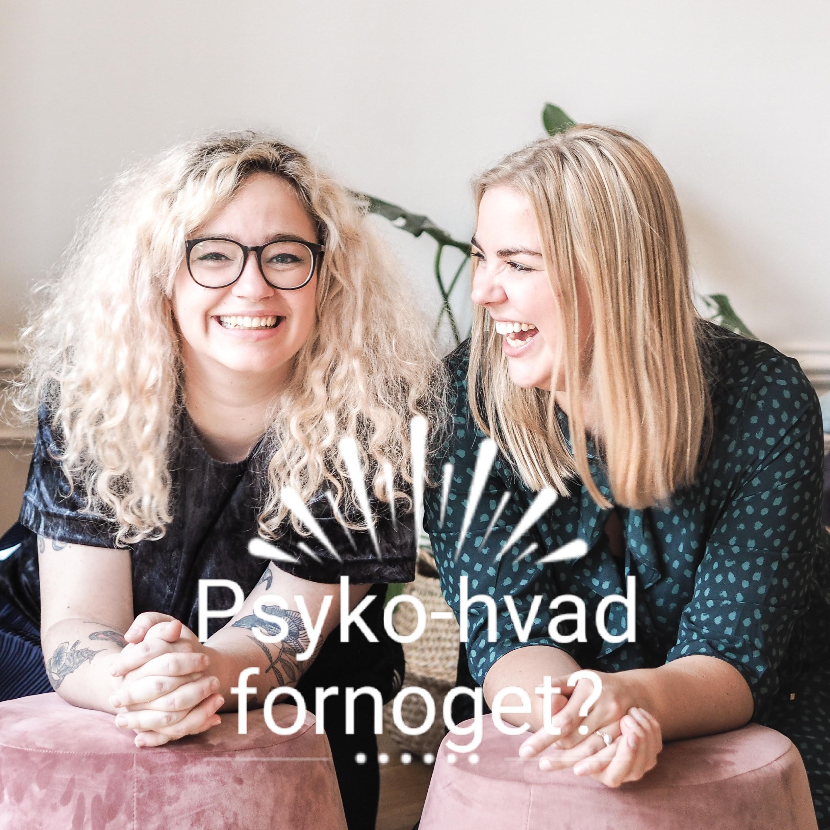 Psyko-Hvadfornoget? af Rikke Aastrup & Sigrid Lund Nielsen