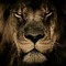 King