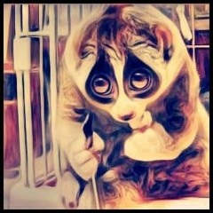 OriginalDystopianSociety!