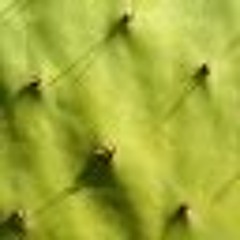 Lounge Music 2021 🍹 - Soft House - Ibiza Lounge  - Chill House 🌴🌴🌴