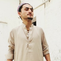 syed salman