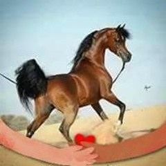 علاء مدرك