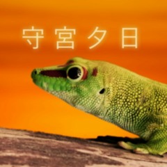 守宮夕日(Sunset Gecko)