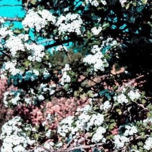Something Relevant S Stream On Soundcloud Hear The World S Sounds something relevant s stream on