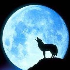 Luna Wolf