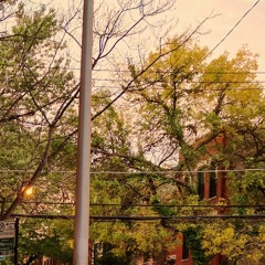 IN†ERLÔPER ∆∆