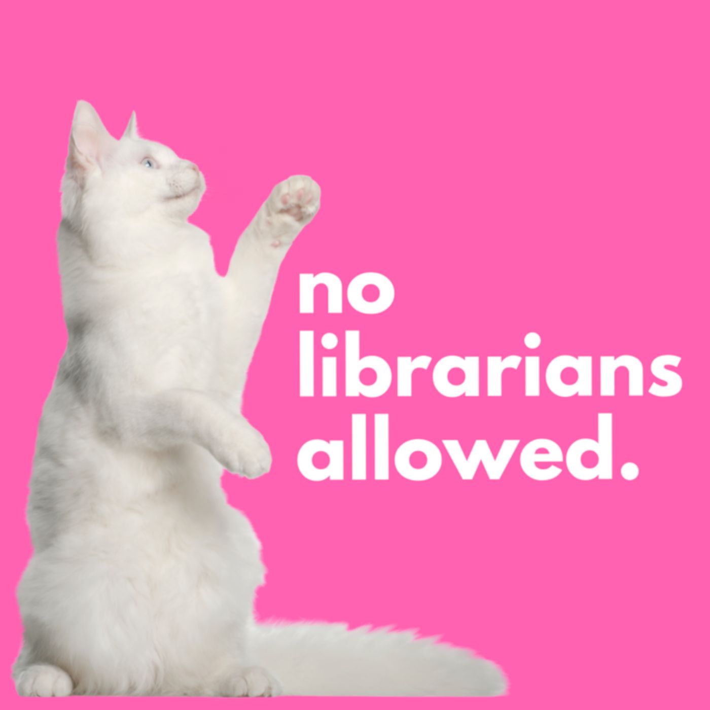 No Librarians Allowed podcast artwork