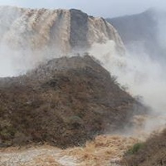 ناجي الوعله