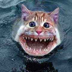 Христина Андріївна