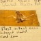 [MOTH]_in_Relay