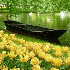 User 95561106