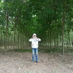 quốc tín