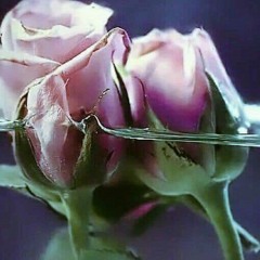 Marwa Sayed Alam